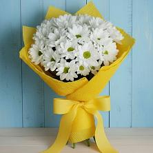 Букет цветов из:  Хризантемы в Красной Пойме