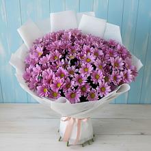 Букет цветов из:  Хризантемы в Красной Пойме