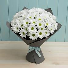 Букет цветов из:  Хризантемы в Красной Пойме