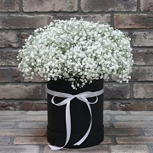 Цветочная композиция из Гипсофила в шляпной коробке в Красной Пойме