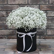 Цветочная композиция из Гипсофила в шляпной коробке в Красной Пойме