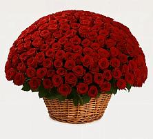 Премиум букет из: Розы в Красной Пойме